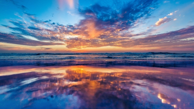 优发国际：园林绿化观花树种