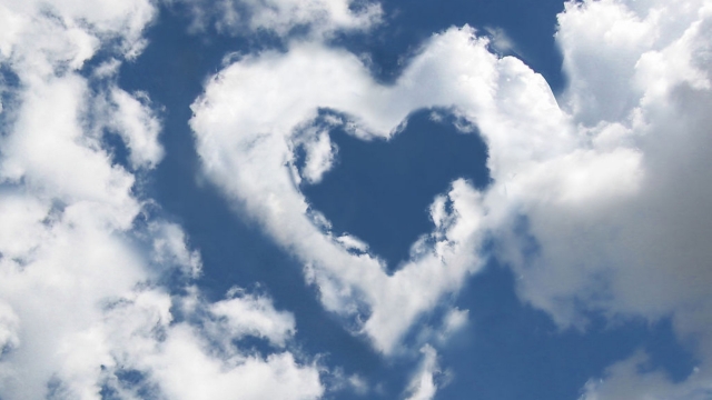 优发集团：园林绿化用软管