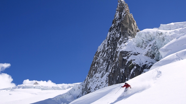 优发：园林绿化常用植物冠幅