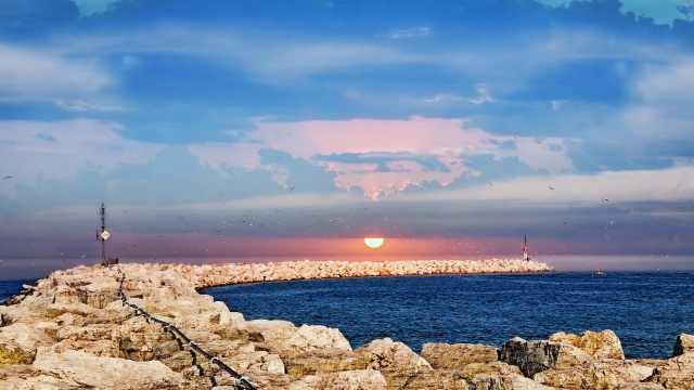 优发集团：园林绿化浇水方式有几种