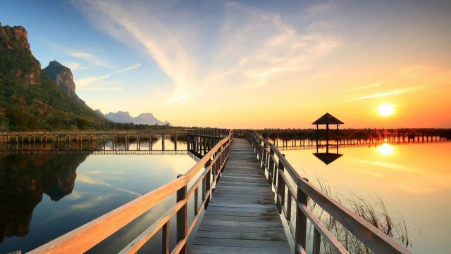 优发国际：园林绿化草籽种植方法