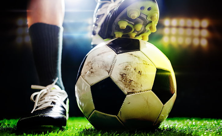 优发国际：在家搞绿化工程合法吗知乎